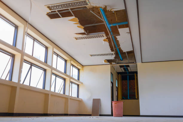Best Flood damage cleanup  in Salem, MA