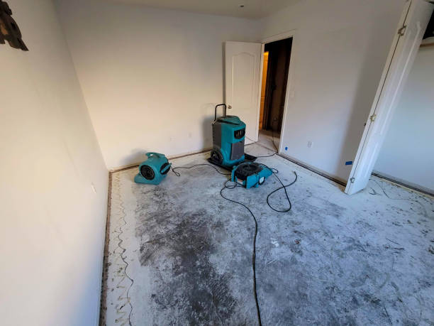 Best Sewage cleanup and water damage restoration  in Salem, MA